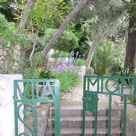 Villa Miomir Dubrovnik Exterior foto
