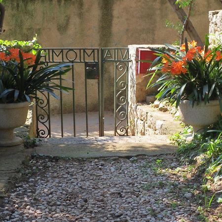 Villa Miomir Dubrovnik Zimmer foto