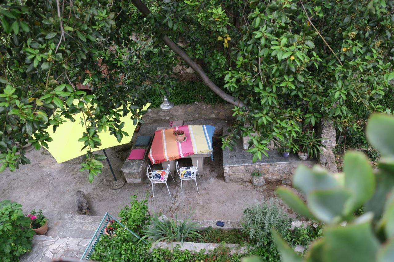 Villa Miomir Dubrovnik Exterior foto